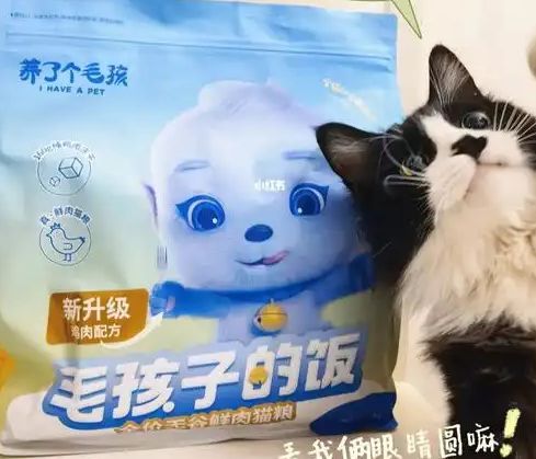 粮！三只松鼠靠什么重返宠物食品赛道开元棋