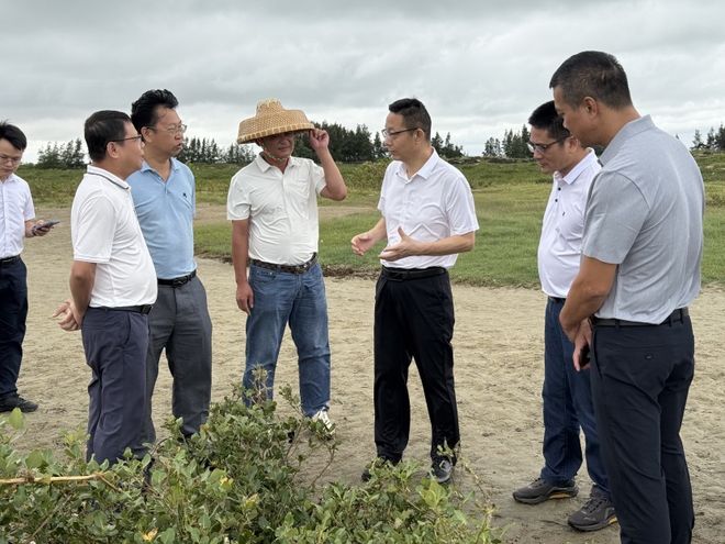 抓紧清理台风倒树谋划红树林旅游!开元ky棋牌湛江市领导最新指示:(图2) 抓紧清理台风倒树谋划红树林旅游!开元ky棋牌湛江市领导最新指示:(图2)